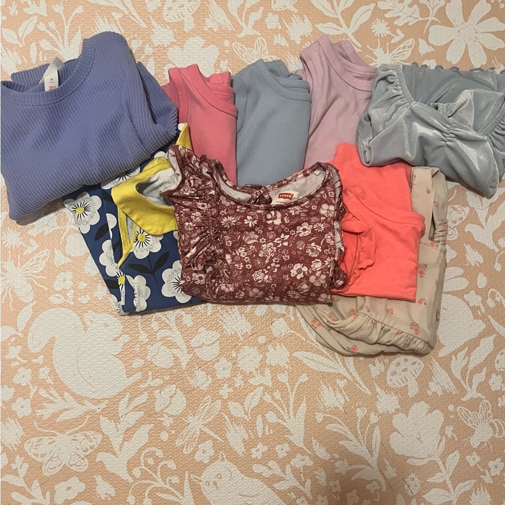 2T bundle! Dresses, tank tops, long sleeve shirts. Cat & Jack and Old Navy
